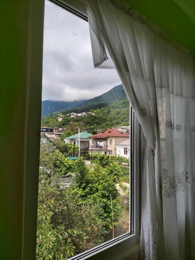 Na Shapsug Guest House Gagra Kültér fotó
