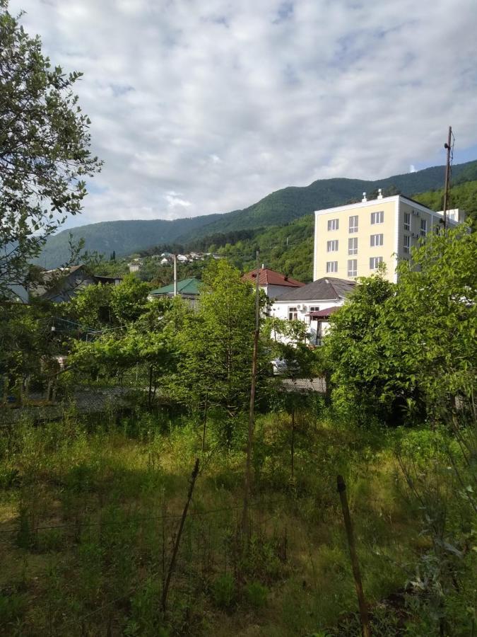 Na Shapsug Guest House Gagra Kültér fotó