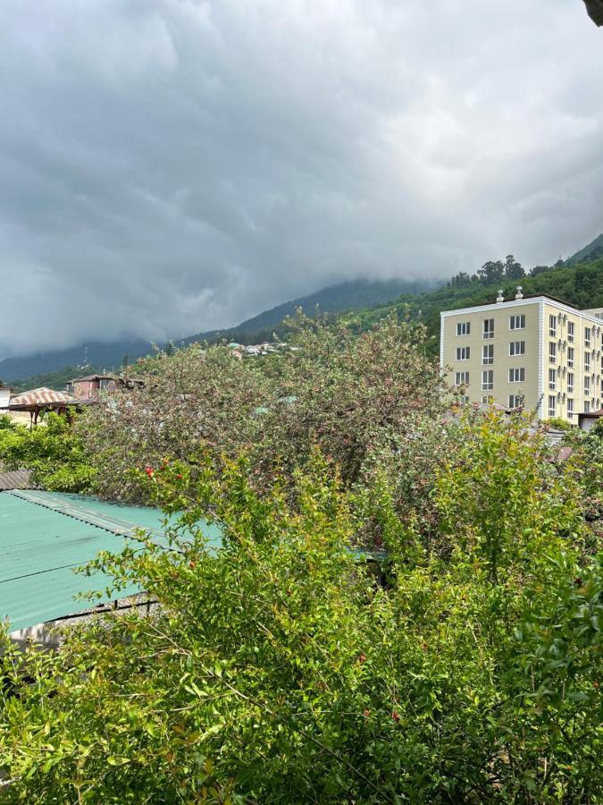 Na Shapsug Guest House Gagra Kültér fotó