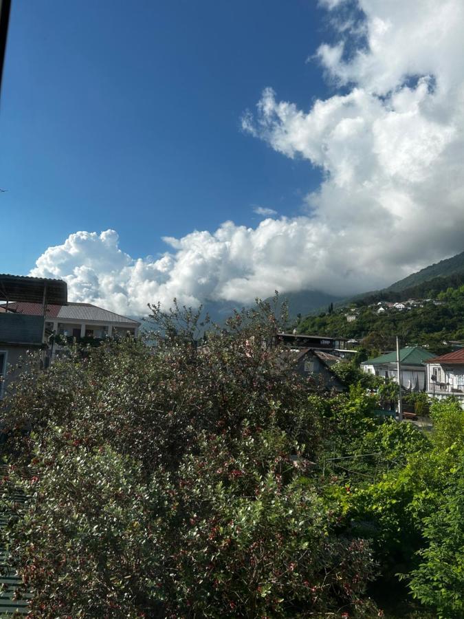 Na Shapsug Guest House Gagra Kültér fotó