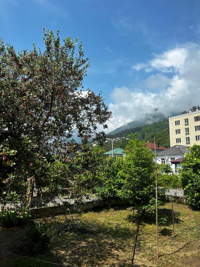 Na Shapsug Guest House Gagra Kültér fotó